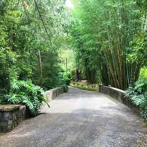 https://villa-mango-hill-farm.hotelssunshinecoast.net